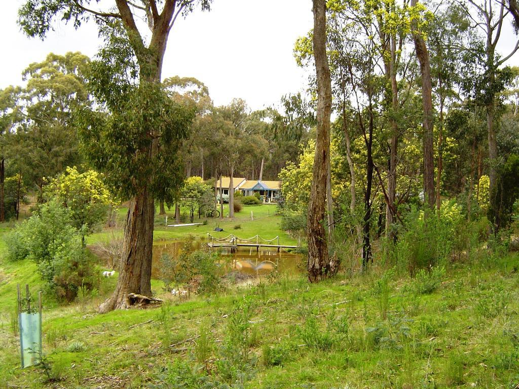 Countryside Retreat Romantic Tranquil Native Wildlife Township Hepburn - Daylesford Hepburn Springs Room photo