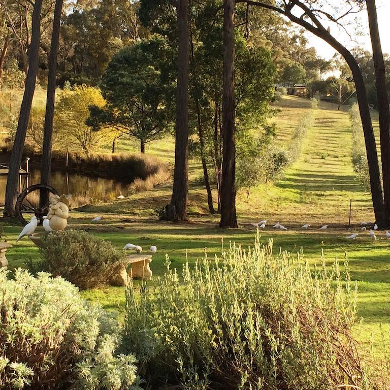 Countryside Retreat Romantic Tranquil Native Wildlife Township Hepburn - Daylesford Hepburn Springs Exterior photo