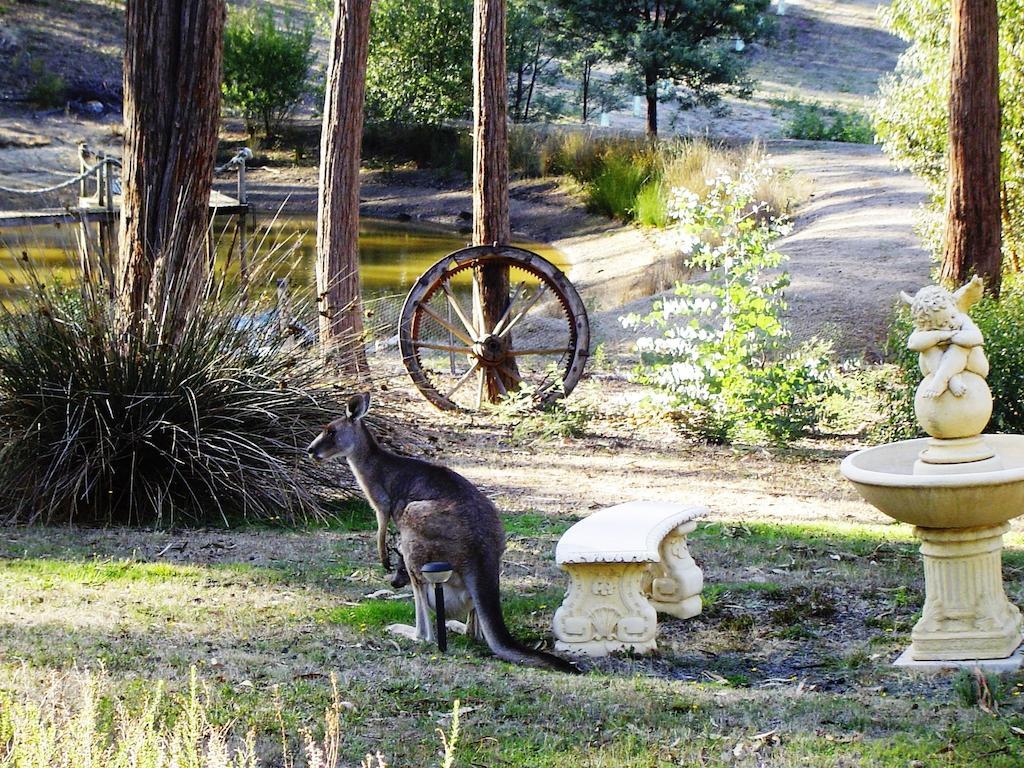 Countryside Retreat Romantic Tranquil Native Wildlife Township Hepburn - Daylesford Hepburn Springs Exterior photo
