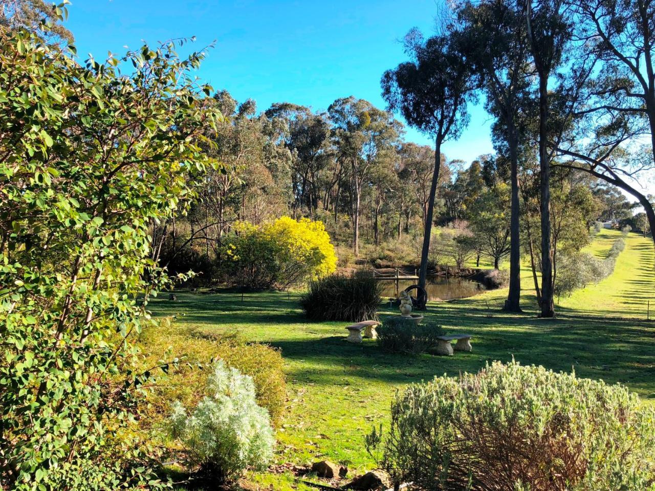 Countryside Retreat Romantic Tranquil Native Wildlife Township Hepburn - Daylesford Hepburn Springs Exterior photo