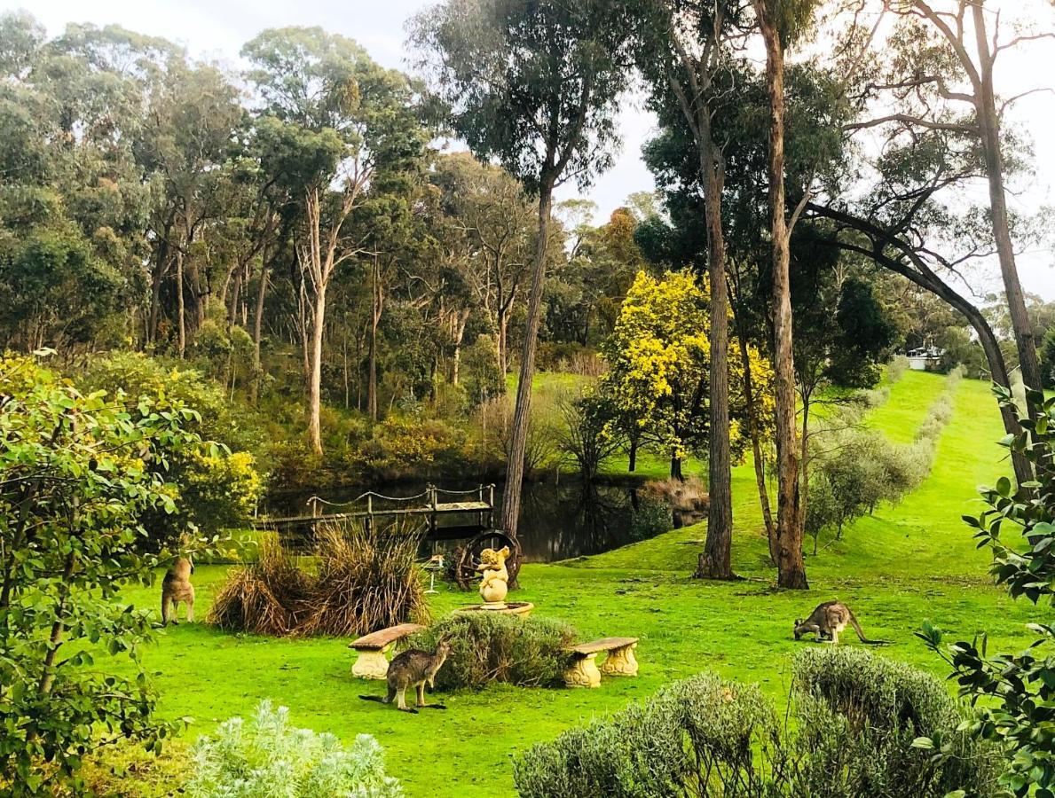Countryside Retreat Romantic Tranquil Native Wildlife Township Hepburn - Daylesford Hepburn Springs Exterior photo